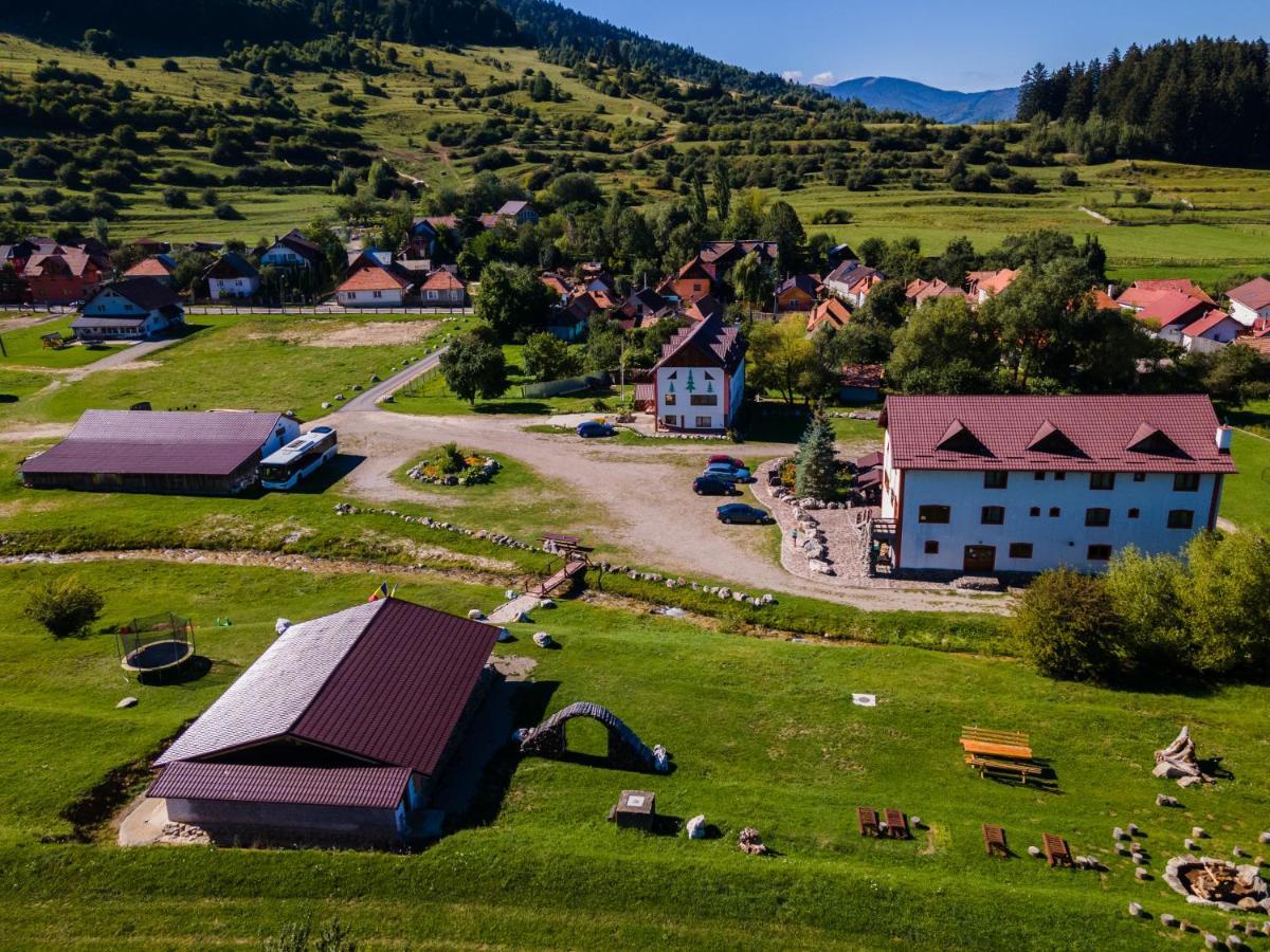 Pensiunea 3 Brazi Zărneşti المظهر الخارجي الصورة