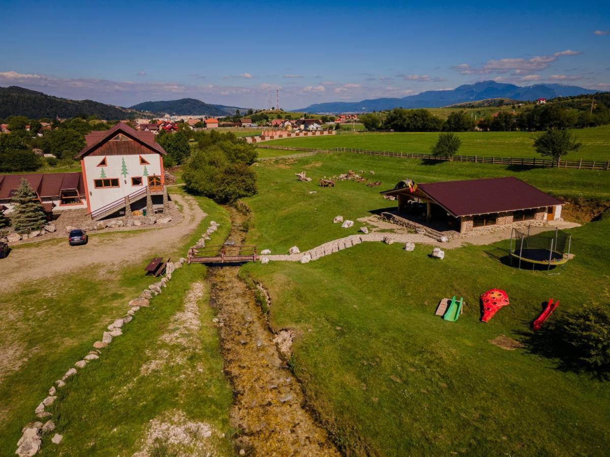 Pensiunea 3 Brazi Zărneşti المظهر الخارجي الصورة