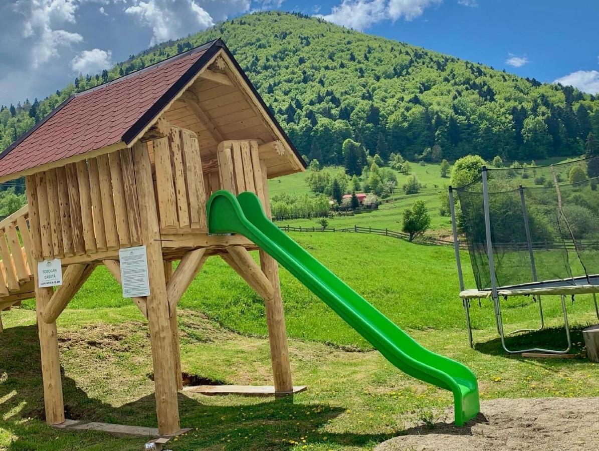 Pensiunea 3 Brazi Zărneşti المظهر الخارجي الصورة