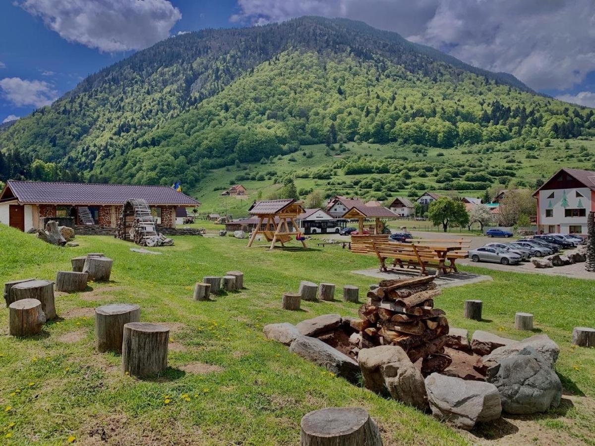 Pensiunea 3 Brazi Zărneşti المظهر الخارجي الصورة