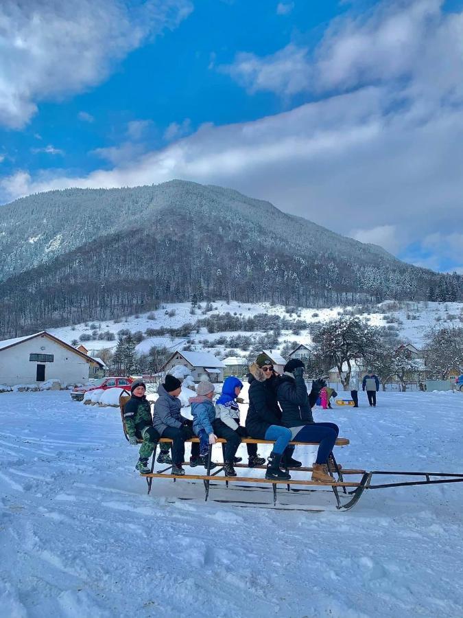 Pensiunea 3 Brazi Zărneşti المظهر الخارجي الصورة