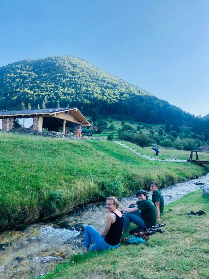 Pensiunea 3 Brazi Zărneşti المظهر الخارجي الصورة