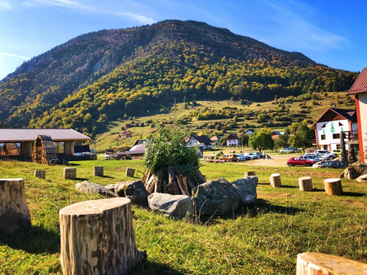 Pensiunea 3 Brazi Zărneşti المظهر الخارجي الصورة