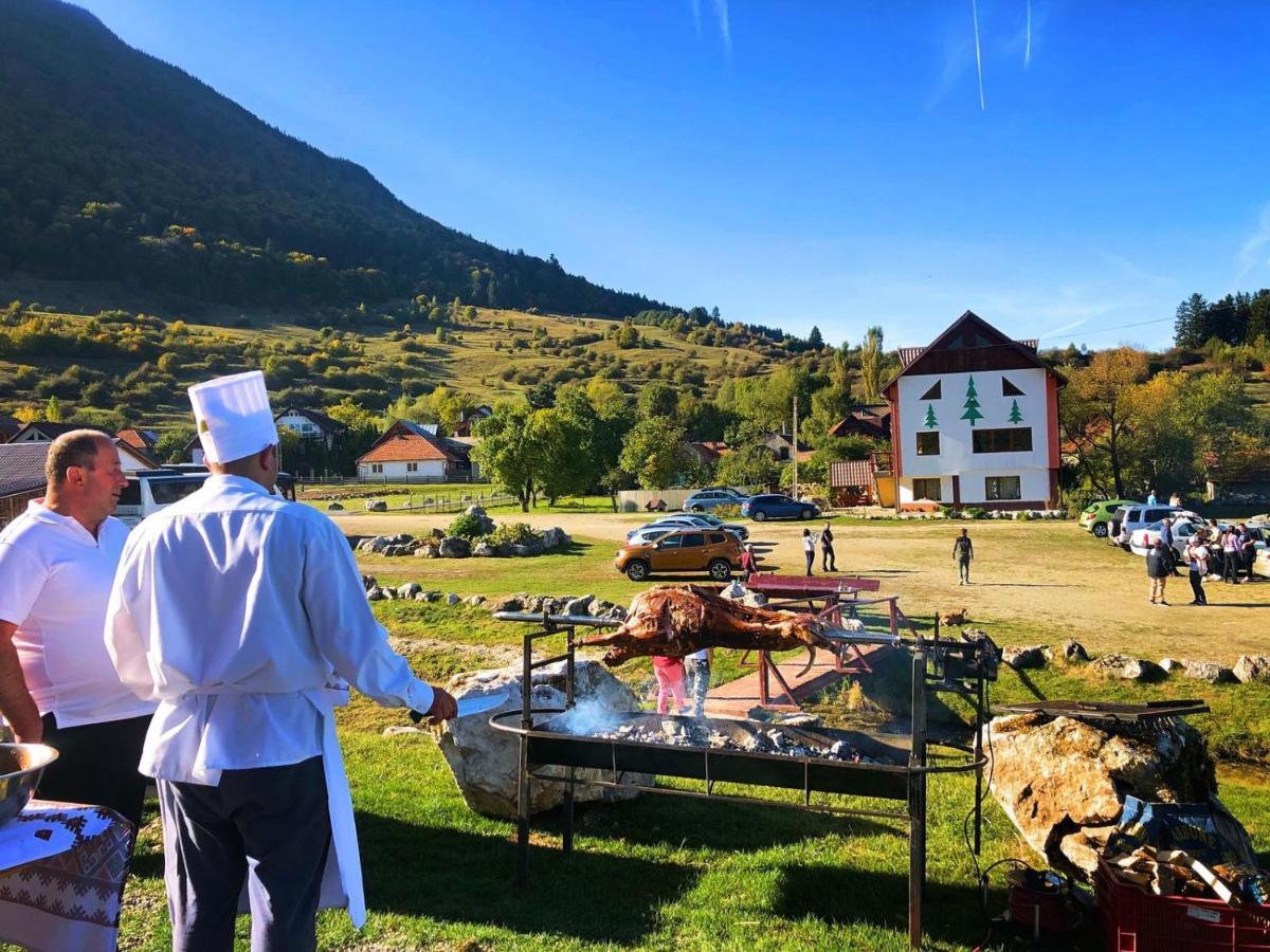 Pensiunea 3 Brazi Zărneşti المظهر الخارجي الصورة