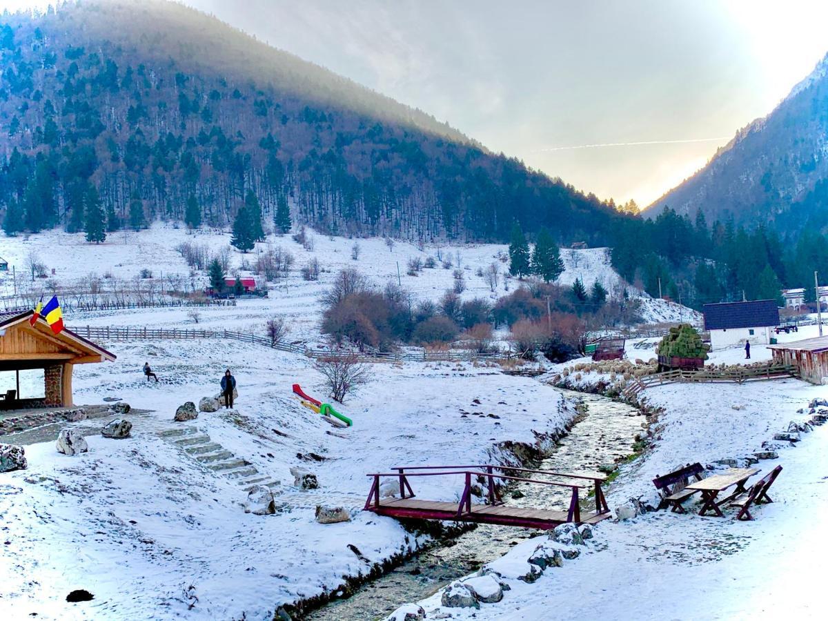 Pensiunea 3 Brazi Zărneşti المظهر الخارجي الصورة